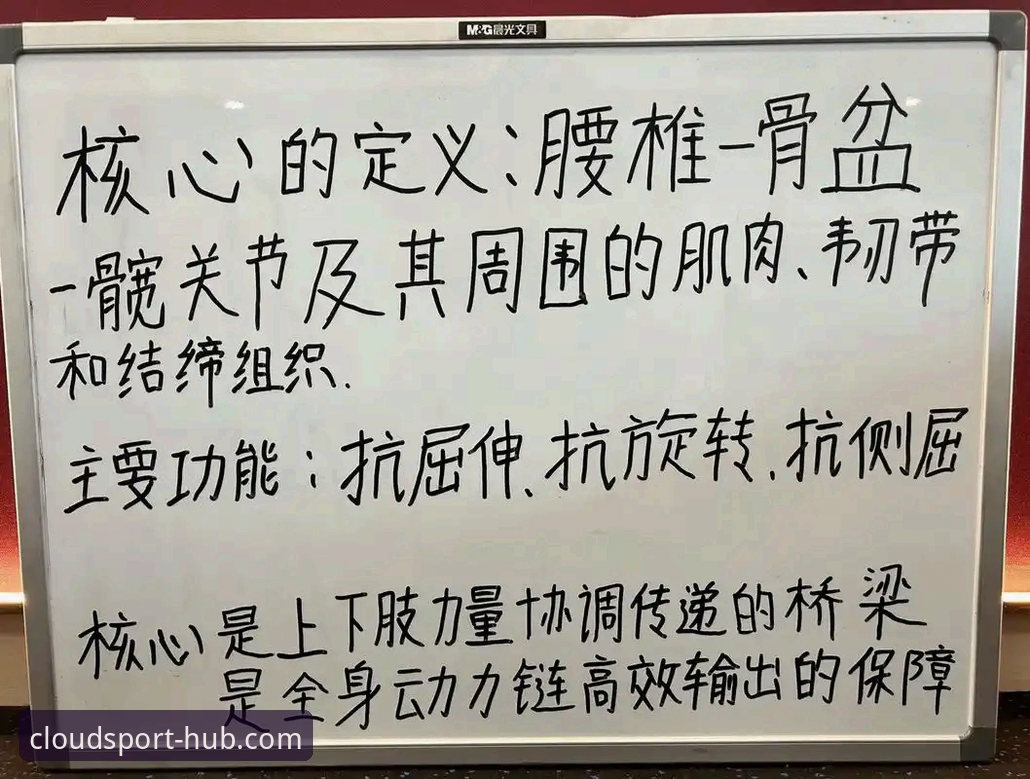 从入门到精通：资深用户分享云体育入口使用心得与实战经验